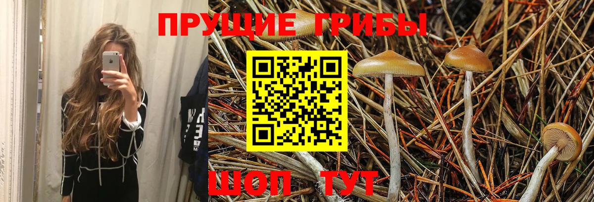 Псилоцибиновые грибы MAGIC MUSHROOMS Качканар