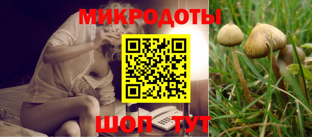 Качканар  Галлюциногенные грибы мухоморы  где купить   Галлюциногенные грибы GOLDEN TEACHER  Вход с VPN 